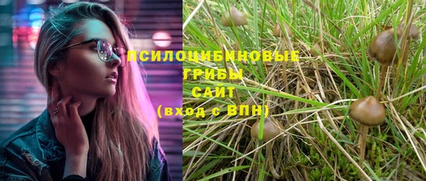 мяу мяу мука Костерёво