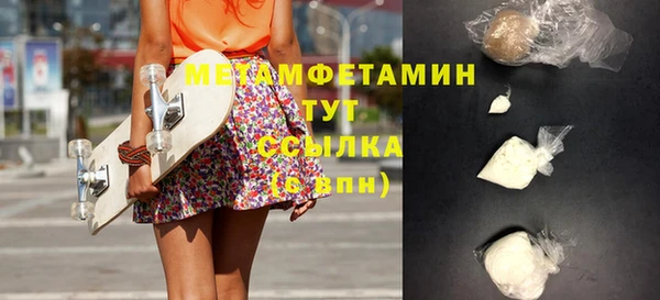 индика Кулебаки